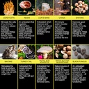 mushroom-complex-capsules-10in1-nootropic-mushrooms-with-lions-mane-cordyceps-reishi-maitake-chaga-turkey-tail-shiitake-mushroom-supplements-for-memory-focus-immune-support-vegan-60-ct-07-f44d76e4c8bc601704f9b2c516fd01f2.jpg