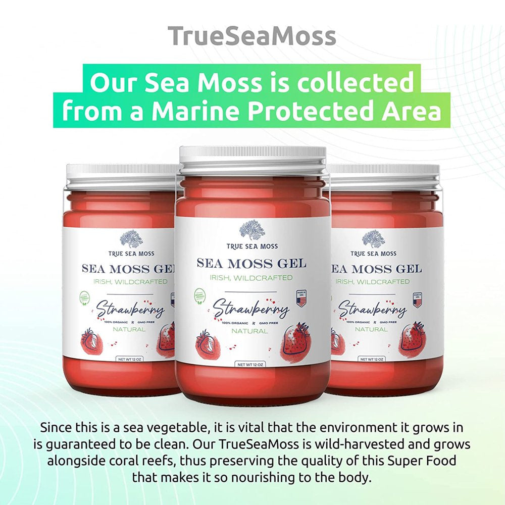 trueseamoss-wildcrafted-irish-sea-moss-gel-nutritious-raw-seamoss-rich-in-minerals-proteins-vitamins-antioxidant-health-supplement-vegan-friendly-made-in-usa-strawberry-1-02-ba7892431615d543a2a5dfea1389a1cf.jpg
