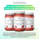 trueseamoss-wildcrafted-irish-sea-moss-gel-nutritious-raw-seamoss-rich-in-minerals-proteins-vitamins-antioxidant-health-supplement-vegan-friendly-made-in-usa-strawberry-1-02-ba7892431615d543a2a5dfea1389a1cf.jpg