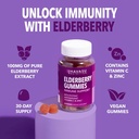 havasu-black-elderberry-gummies-with-zinc-and-vitamin-c-immune-support-gummies-60ct-03-ff7e9eb1ffe49405acb149410b83d3d1.jpg
