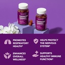 havasu-black-elderberry-gummies-with-zinc-and-vitamin-c-immune-support-gummies-60ct-05-560d57c10dbe31032bdcc5c54de83294.jpg