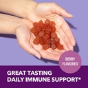 havasu-black-elderberry-gummies-with-zinc-and-vitamin-c-immune-support-gummies-60ct-07-c57196cec4a1d6dccb084db695676e56.jpg