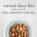 purina-bella-natural-bites-chicken-beef-sweet-potato-spinach-dry-dog-food-12-lb-bag-02-45ccc0a067367e3ed89e4e5fd1a0e313.jpg