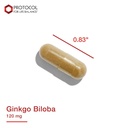 protocol-ginkgo-biloba-with-eleuthero-herbal-supplements-circulation-brain-support-100-veg-caps-07-e04f6dca73f9d4ee2c30f2608c1b9421.jpg
