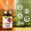 cranberry-supplement-pills-extra-strength-vitamin-c-e-25-200mg-formula-supports-urinary-tract-health-non-gmo-and-gluten-free-natures-cranberry-pill-supplement-120-softgels-04-4f2d961d649134bc6524728f3a55039c.jpg