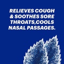 halls-minis-mentho-lyptus-flavor-sugar-free-cough-drops-24-mini-throat-lozenges-per-pack-48-total-pieces-2-pack-double-up-and-save-09-e54f2c19985de7ca97641543c59f1b72.jpg