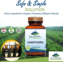 hawthorn-berry-capsules-90-kosher-vegan-caps-with-1000mg-organic-hawthorne-berry-07-e5e55b126427d6468011f850a94c20e4.jpg