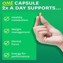zenwise-health-green-tea-extract-supplement-weight-loss-supplement-120-capsules-02-bce3f110a90bfa16e42874313c765178.jpg