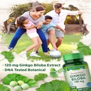 ginkgo-biloba-120mg-100-capsules-plus-bacopa-monnieri-standardized-extract-non-gmo-gluten-free-by-natures-truth-02-137034b38f92ebd69588d843088db190.jpg