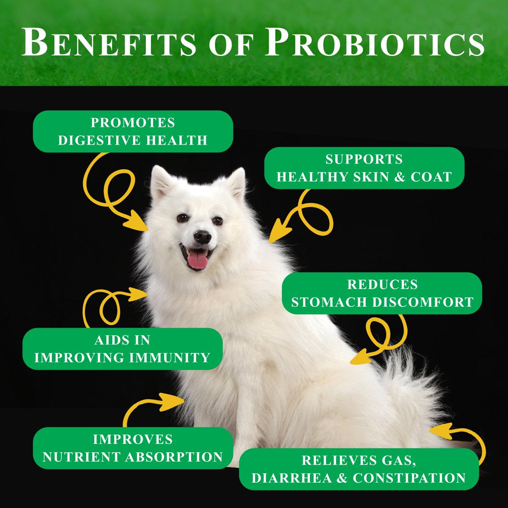 deluxe-naturals-probiotics-for-dogs-all-natural-dog-probiotic-soft-chews-with-enzymes-prebiotics-pumpkin-promotes-digestive-health-improves-allergy-immunity-90-count-pack-of-1-08-1e39ce2090ffbae6f73769690b378911.jpg
