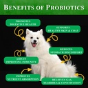 deluxe-naturals-probiotics-for-dogs-all-natural-dog-probiotic-soft-chews-with-enzymes-prebiotics-pumpkin-promotes-digestive-health-improves-allergy-immunity-90-count-pack-of-1-08-1e39ce2090ffbae6f73769690b378911.jpg