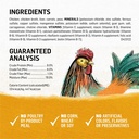 purina-beyond-natural-wet-dog-food-pate-immune-health-grain-free-chicken-carrot-13-oz-can-04-b18d453d89d99ecc9bced0d5bd4139f6.jpg