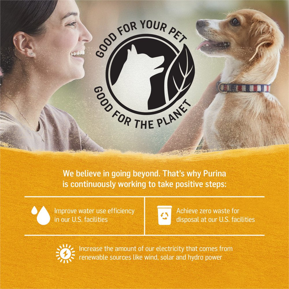 purina-beyond-natural-wet-dog-food-pate-immune-health-grain-free-chicken-carrot-13-oz-can-06-ca7de90367f8ecd15221a381a6ac7ac9.jpg