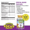 kal-focus-saurus-focus-support-for-kids-amino-acid-antioxidant-gaba-focus-blend-for-children-no-sugar-grape-flavor-chewables-30-ct-02-267210ee0226e19da47855f70da29dfa.jpg