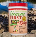 greens-first-berry-by-doctors-for-nutrition-8-5-ounces-04-4cfb4629ba6ff23597ca32748b6c441c.jpg
