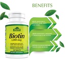 alfa-vitamins-biotin-5000-mcg-twin-03-44d9b5841e16488d9b09793fbf784199.jpg