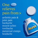 aleve-caplets-naproxen-sodium-pain-reliever-90-count-05-8a0e58381bee2601304a550e71e93222_55c8a987-9a72-44fe-bff1-ac9d3d302c90.jpg