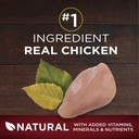purina-one-grain-free-natural-high-protein-dry-dog-food-smartblend-true-instinct-real-chicken-12-5-lb-bag-07-9ea78c5231c98ce61613cbd17938901f.jpg