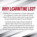 isatori-l-carnitine-ls3-mixed-berry-1500mg-32-servings-biogenetic-labs-09-25dfdb46c2a9b84d8ea567c12ce42dfe_600f758b-110c-4884-b242-25c6d5e35b87.jpg