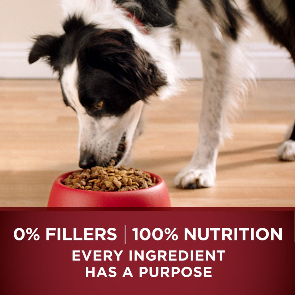 purina-one-grain-free-natural-high-protein-dry-dog-food-smartblend-true-instinct-real-chicken-12-5-lb-bag-09-8a40e46f12dc5c1cba40b33b0e5462d3.jpg