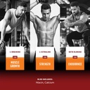 nitric-oxide-supplement-support-pills-natures-craft-natural-workout-supplement-with-niacin-calcium-06-604cd7e19abfa26ed2016a971141266d.jpg