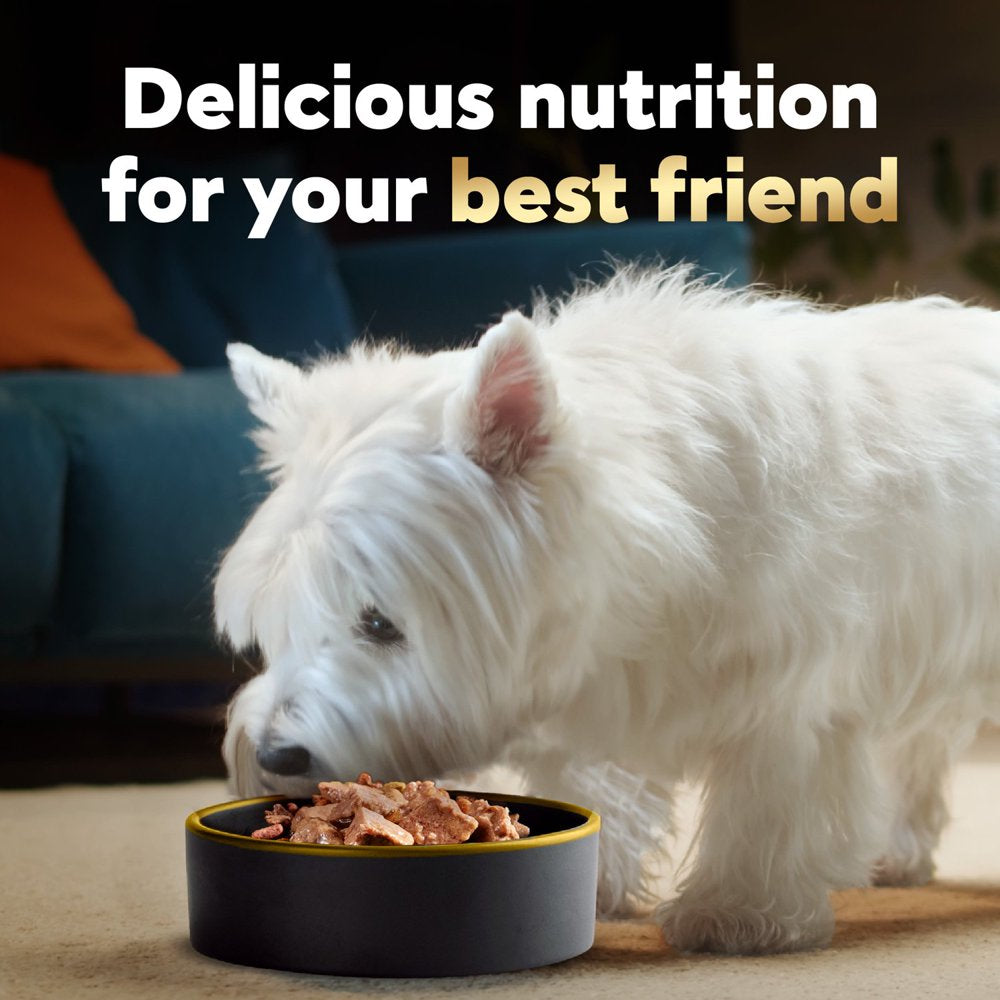 cesar-loaf-and-topper-in-sauce-ham-and-egg-flavor-wet-dog-food-3-5-oz-tray-10-ef74bc55f4755b7660dfa8e432e5cc16.jpg