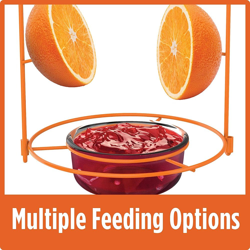 natures-way-nwofm1-wire-oriole-feeder-03-587c6c417c9cc87753a474cc5a1bd2ec.jpg