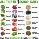 plantvital-vegan-protein-powder-plant-based-organic-protein-powder-chocolate-24g-0g-sugar-18-superfoods-probiotics-raw-cocoa-pea-gluten-free-keto-friendly-16oz-03-07141608128d67ff96bb6f29e91e8387.jpg