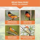 natures-way-nwofm1-wire-oriole-feeder-05-132c8aa490eafc3ae1a383c2815790f6.jpg