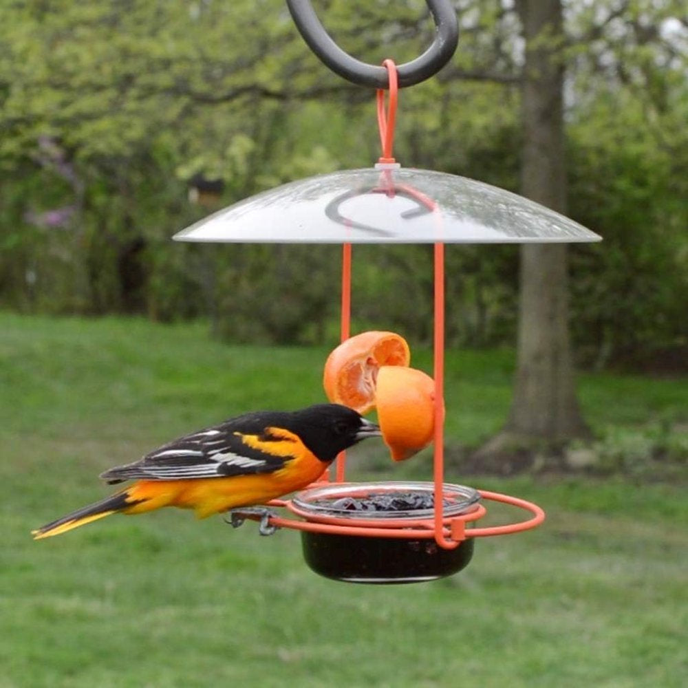 natures-way-nwofm1-wire-oriole-feeder-08-c82e9c819ba52b270db2187ce8a5d63b.jpg