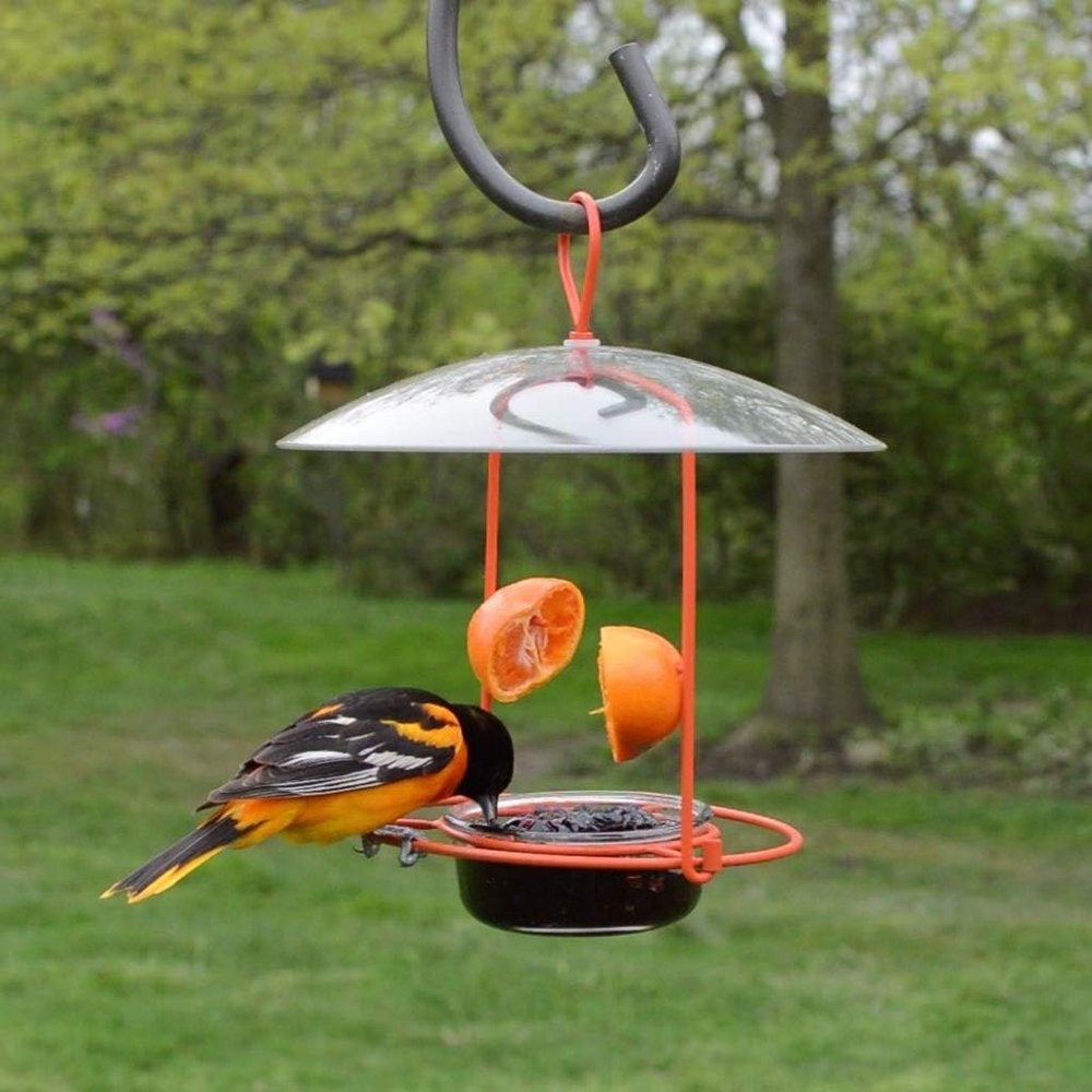 natures-way-nwofm1-wire-oriole-feeder-10-b4b68647d6506a643e50894683fc14d2.jpg
