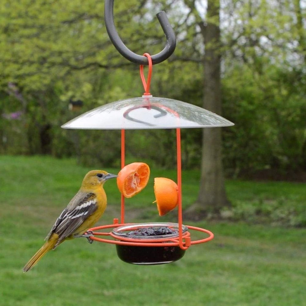 natures-way-nwofm1-wire-oriole-feeder-11-93020a268c28016ec84c27feb538cc72.jpg