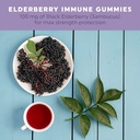 elderberry-gummies-for-adults-zinc-gummies-for-immune-support-with-black-elderberry-plant-based-pectin-and-vegan-friendly-100mg-60-count-gummies-04-8ed4de5046a37f61ae2ae6eec427181c.jpg
