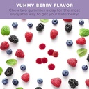 elderberry-gummies-for-adults-zinc-gummies-for-immune-support-with-black-elderberry-plant-based-pectin-and-vegan-friendly-100mg-60-count-gummies-06-73b335f29b8e0d5974c9b4c9845ab4f6.jpg
