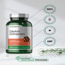 ceylon-cinnamon-4000mg-250-capsules-high-potency-by-horbaach-05-827b90620bfab1735f450166decfb8c7.jpg