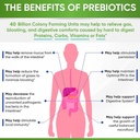 balincer-probiotic-supplement-aids-weight-loss-improves-gut-health-natural-detoxification-fat-burning-weight-regularity-digestion-03-ec273f6217b417d3f370de66e07d18ea.jpg