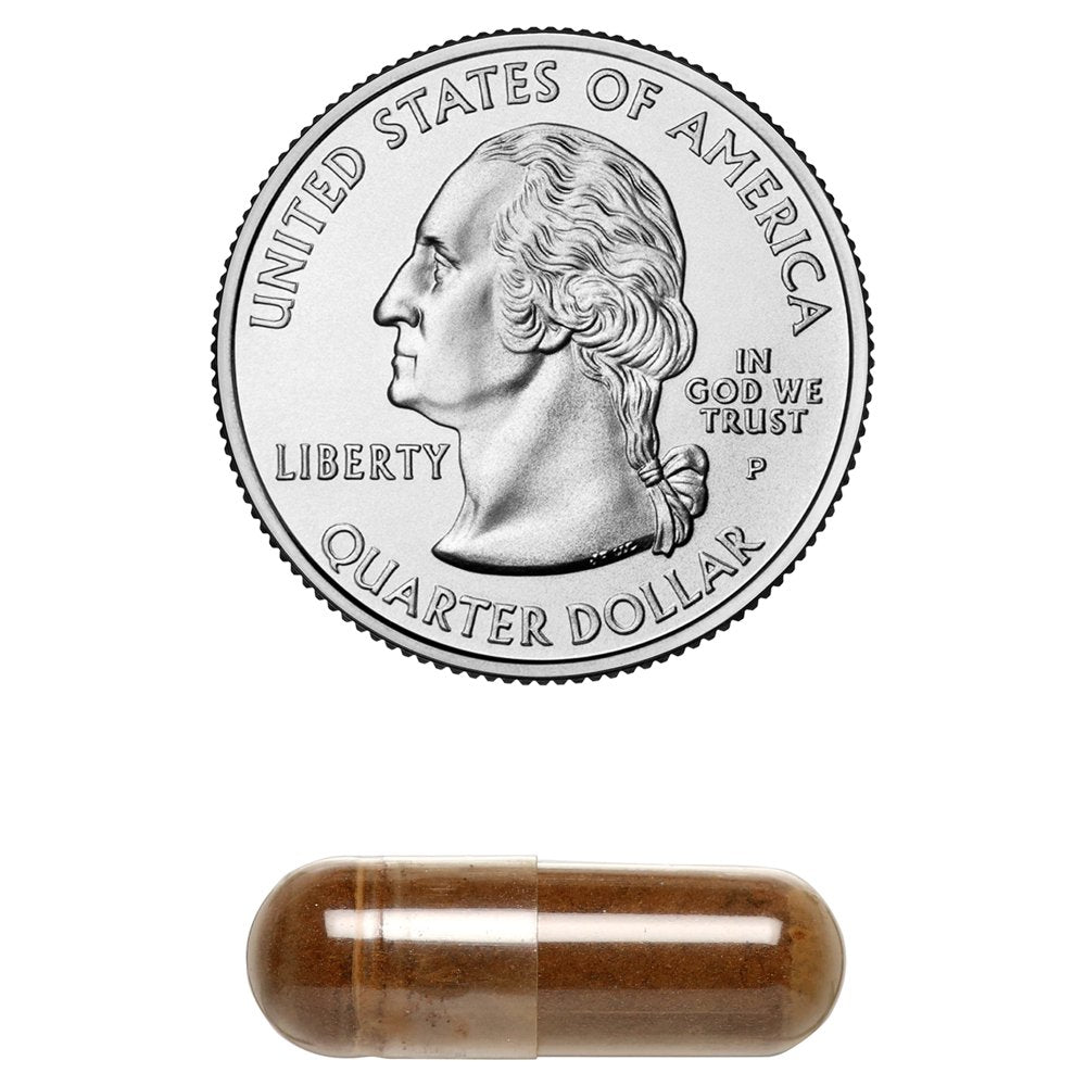 herbal-secrets-burdock-root-425-mg-120-capsules-05-403d9d964d2cf17c3f6996b94486fa4e.jpg