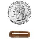 herbal-secrets-burdock-root-425-mg-120-capsules-05-403d9d964d2cf17c3f6996b94486fa4e.jpg