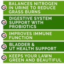 goodgrowlies-grass-treats-for-dogs-dog-pee-lawn-repair-grass-burn-spots-caused-by-dog-urine-grass-rocks-with-probiotics-digestive-enzymes-cranberry-made-in-usa-120-soft-chews-02-2ffd3503f488fe9ad8f89299b5120e25.jpg