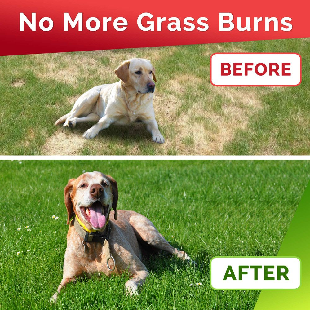 goodgrowlies-grass-treats-for-dogs-dog-pee-lawn-repair-grass-burn-spots-caused-by-dog-urine-grass-rocks-with-probiotics-digestive-enzymes-cranberry-made-in-usa-120-soft-chews-07-57ab2895f563183203f37f7b4c682bfb.jpg
