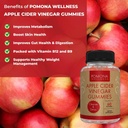 pomona-wellness-apple-cider-vinegar-gummies-with-b-vitamins-for-immune-support-detox-and-cleanse-acv-gummy-for-digestion-overall-health-vegan-60-count-04-08d1b19d579c86c30d82e5b084174d3f.jpg