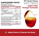 pomona-wellness-apple-cider-vinegar-gummies-with-b-vitamins-for-immune-support-detox-and-cleanse-acv-gummy-for-digestion-overall-health-vegan-60-count-07-e911ccfc80e04618bec2233f14b3a8c3.jpg