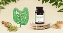 herbs-healthy-and-better-digestion-capsules-120-capsules-digestive-support-pre-digestive-metabolic-support-intestinal-health-antioxidant-boost-vegan-non-gmo-30-day-supply-04-45e24c4280d0f564e69442591aeb6d41.jpg