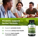 swanson-pygeum-herbal-supplement-promoting-male-prostate-health-bladder-and-urinary-tract-health-support-mens-health-supplement-100-capsules-125mg-per-serving-03-9c9050d3e2761f4eba0519604cda16af_be1622dc-00a3-492e-b6a5-3c65f9f20b6c.jpg