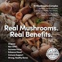 country-farms-super-greens-natural-flavor-50-organic-super-foods-usda-organic-drink-mix-super-foods-mushrooms-probiotics-supports-energy-20-servings-10-6-oz-1-05-9919c4528dff3aab5ec29ba2f9dfc675_e5f3b779-7541-4622-ae88-90372fb2e479.jpg