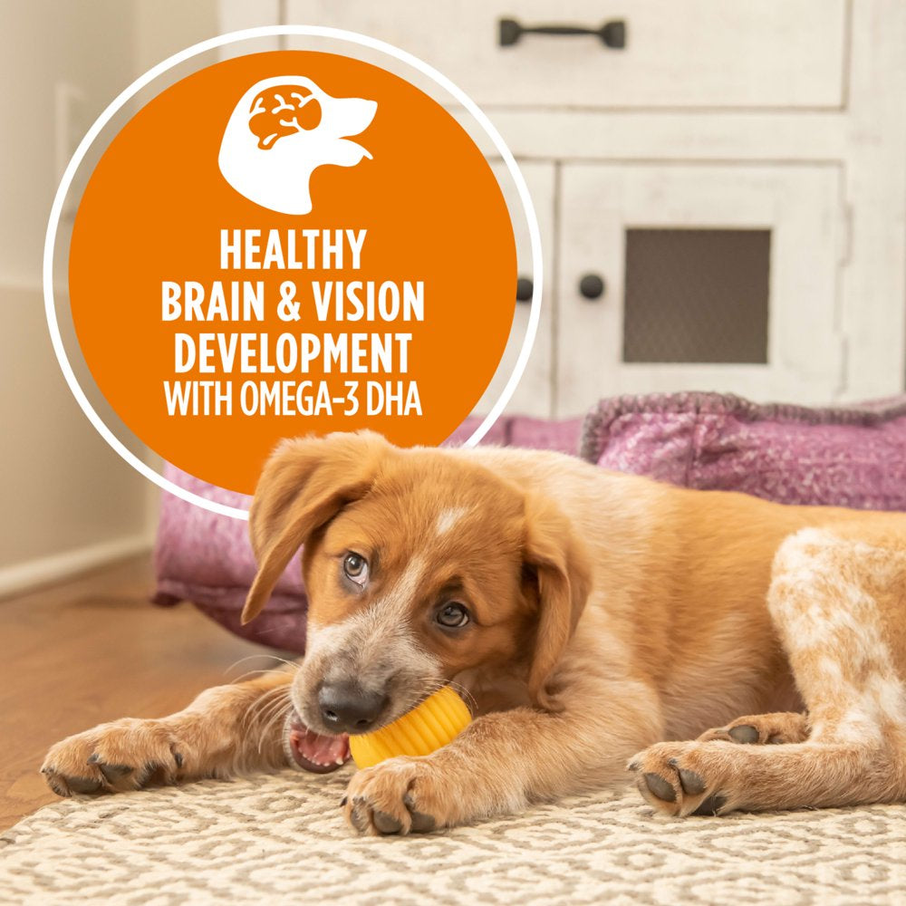 iams-proactive-health-puppy-with-chicken-and-rice-classic-ground-13-oz-can-05-3913ef4ab764b5c4e760d58367b3f06a.jpg