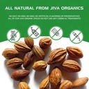jiva-organics-organic-haritaki-powder-7-ounce-100-pure-usda-certified-non-gmo-08-ed4598a1db2a796ec117f218666e7d6d.jpg