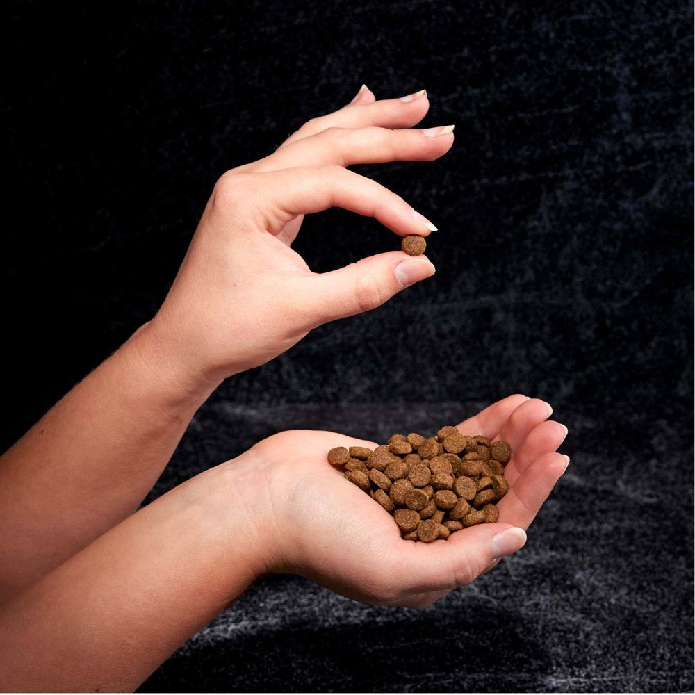 crave-grain-free-adult-dry-dog-food-with-protein-from-chicken-12-lb-bag-05-07382967bfe30e91403edd4f66492e27.jpg