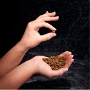 crave-grain-free-adult-dry-dog-food-with-protein-from-chicken-12-lb-bag-05-07382967bfe30e91403edd4f66492e27.jpg