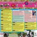 gentle-giants-world-class-canine-nutrition-dog-and-puppy-food-classic-quality-of-life-chicken-feast-30-lb-08-074410da37f4f4287bc98ea32267a19c.jpg
